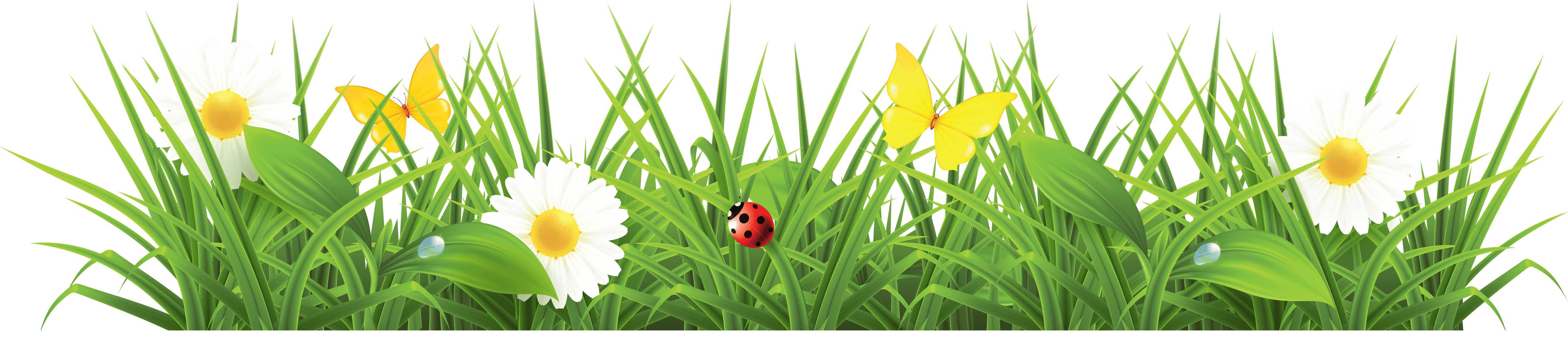 Grass Png Image Green Picture PNG Image