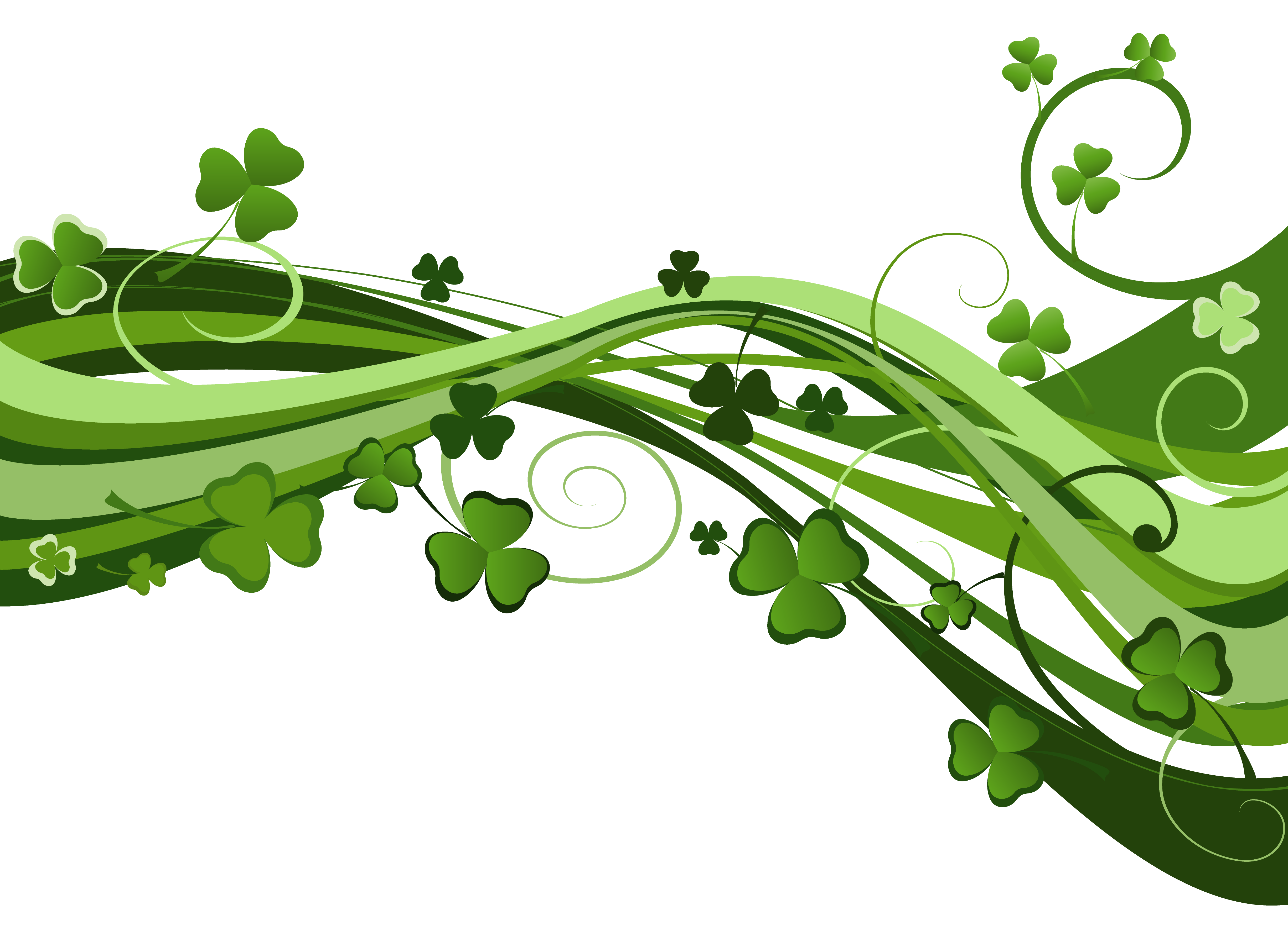 Plant Flora Saint Shamrock Patricks Ireland Day PNG Image