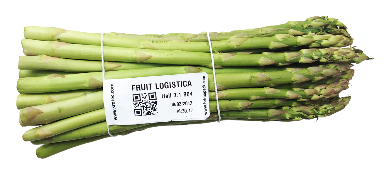 Asparagus Picture Bundle Free Download Image PNG Image