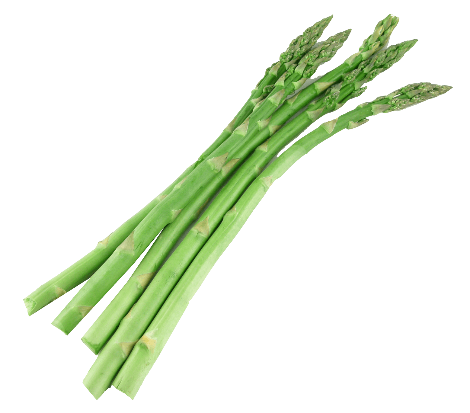 Asparagus Bundle Free HQ Image PNG Image