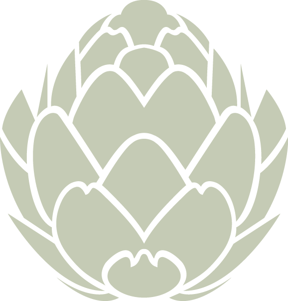 Single Artichoke Free Clipart HD PNG Image