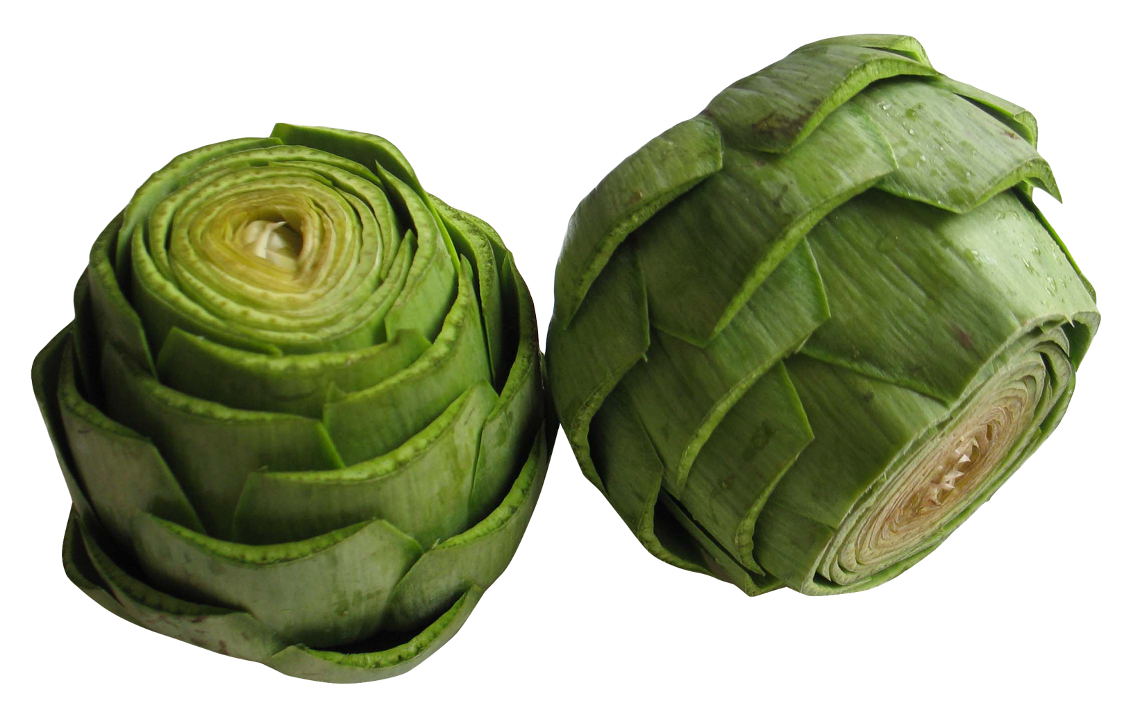 Single Artichoke Free Photo PNG Image