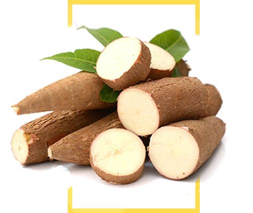 Cassava Half HD Image Free PNG Image