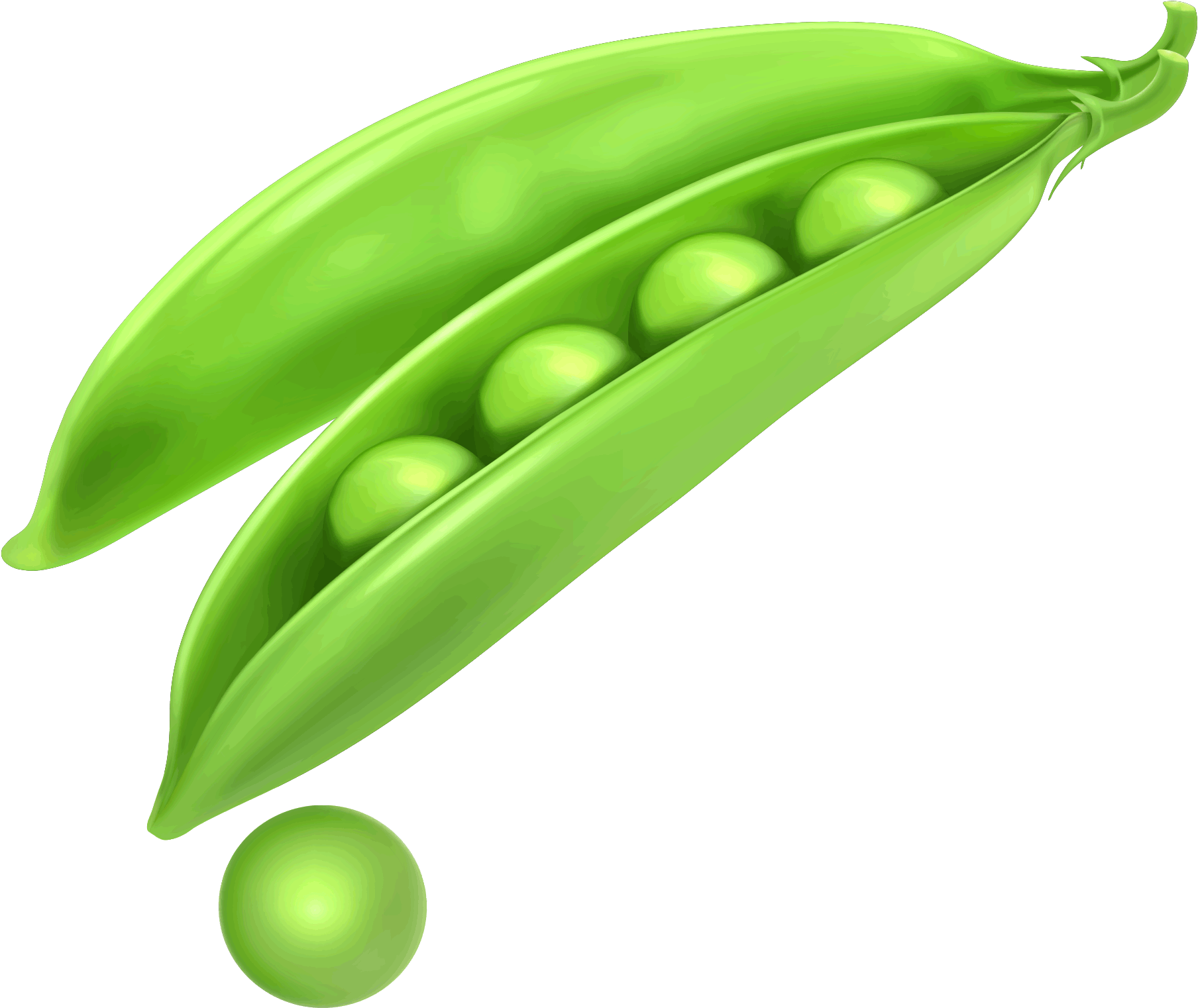 Green Organic Pea Free HQ Image PNG Image