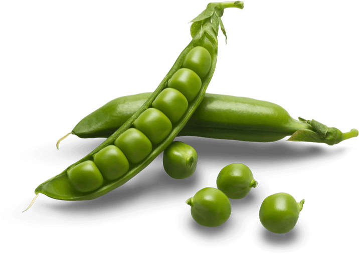 Green Organic Pea HQ Image Free PNG Image