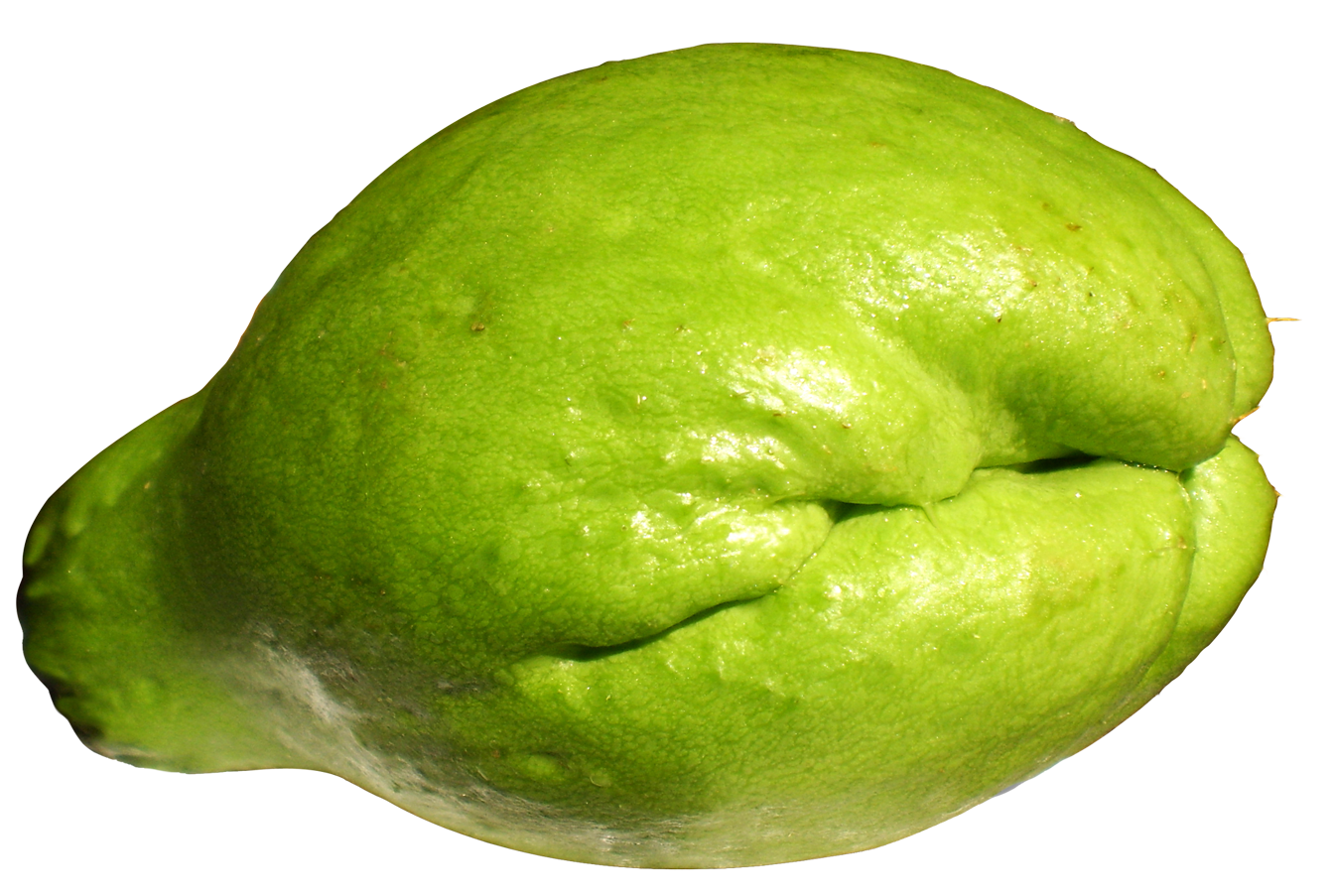 Chayote Free Download PNG HQ PNG Image