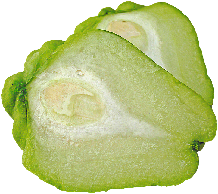 Fresh Chayote HQ Image Free PNG Image