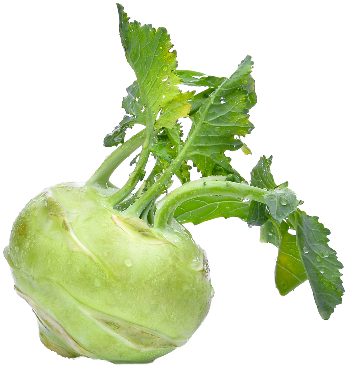 Kohlrabi Free Clipart HQ PNG Image