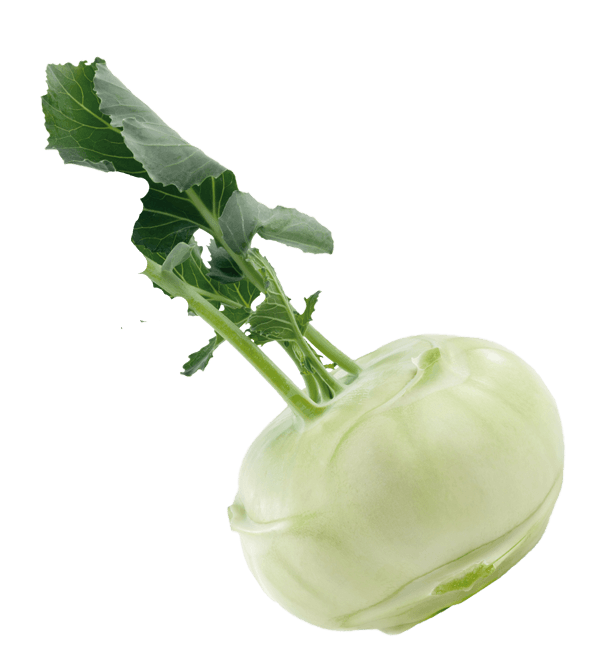 Kohlrabi Free Transparent Image HQ PNG Image