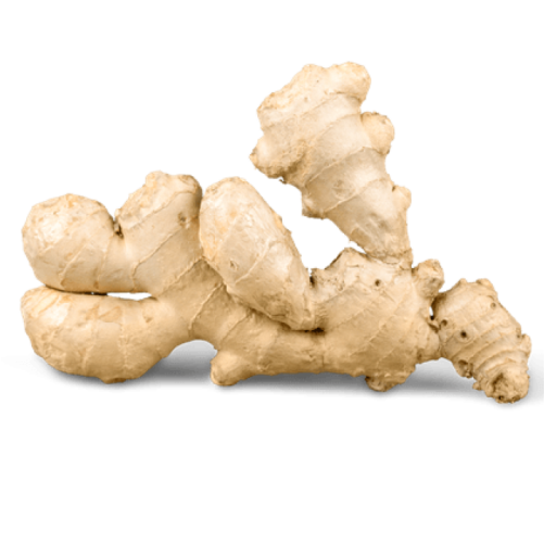 Galangal Free Transparent Image HD PNG Image