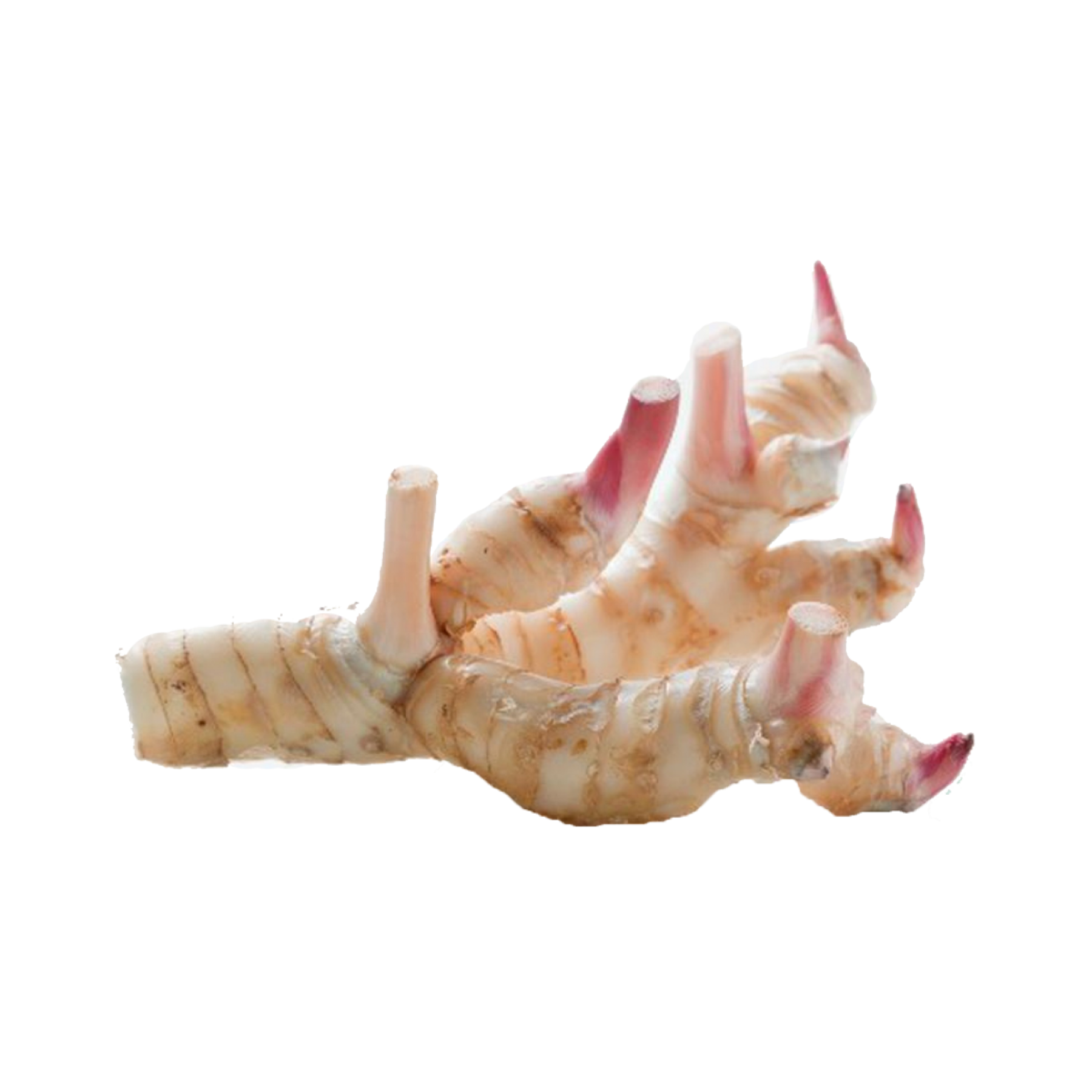 Pic Galangal Free Photo PNG Image