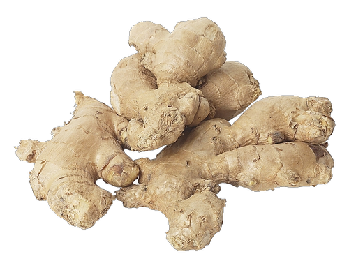 Galangal PNG File HD PNG Image