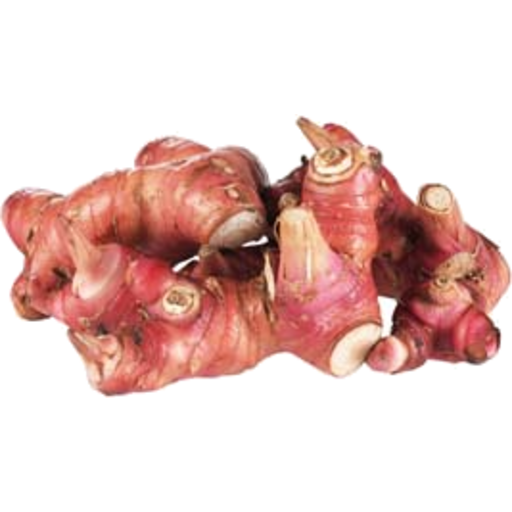 Galangal HQ Image Free PNG Image