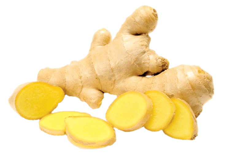 Organic Galangal Free HD Image PNG Image