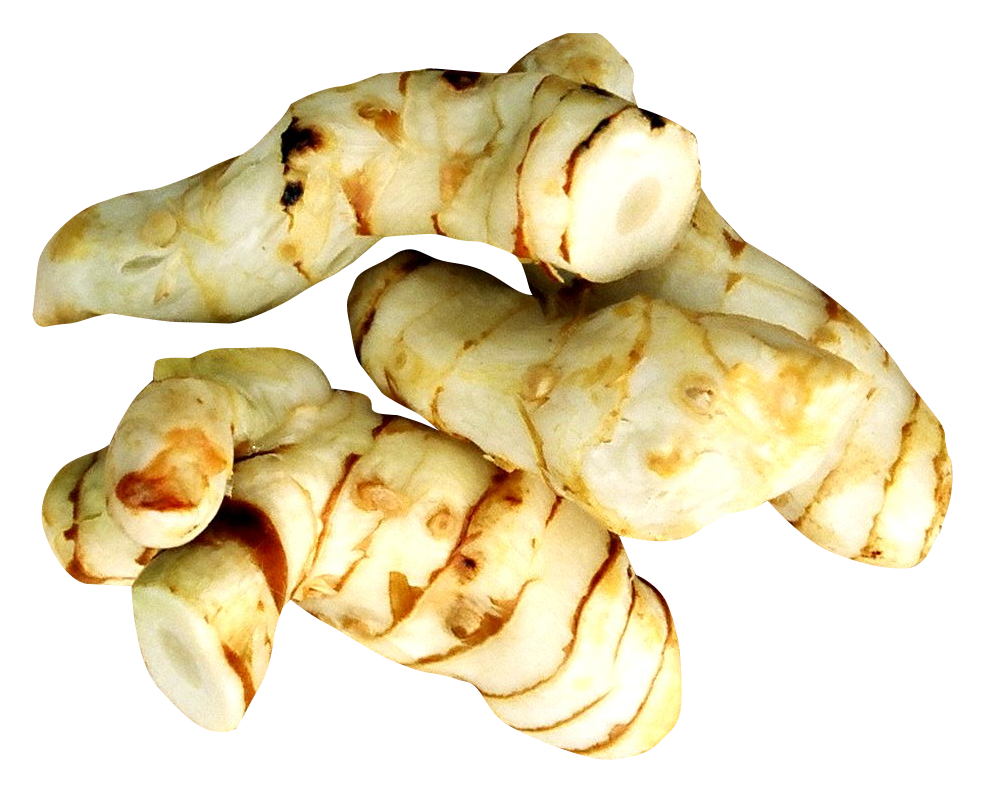 Photos Organic Galangal Download Free Image PNG Image