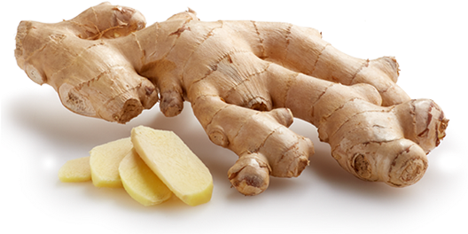 Organic Galangal Free Clipart HD PNG Image