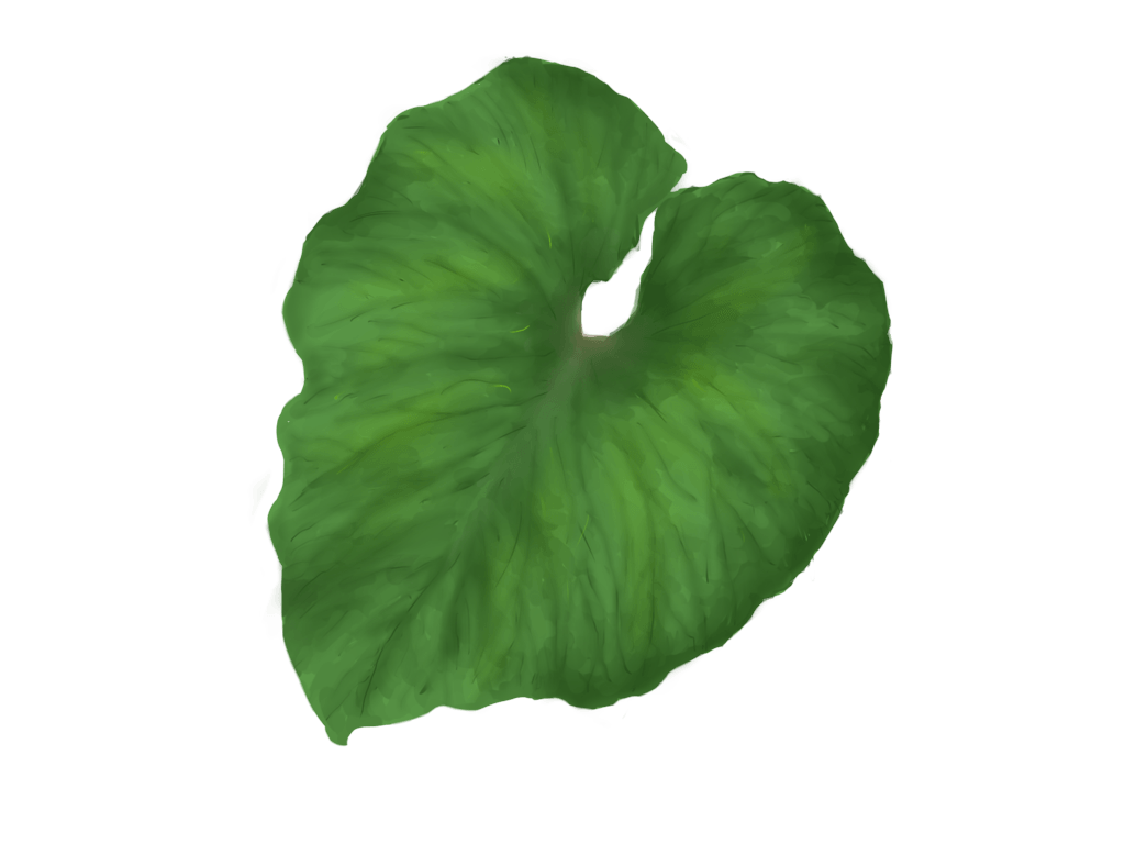 Green Leaf Png PNG Image