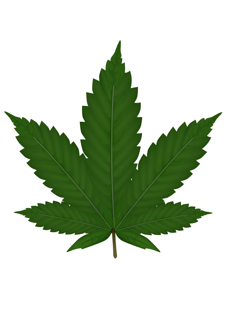 Green Leaf Png PNG Image