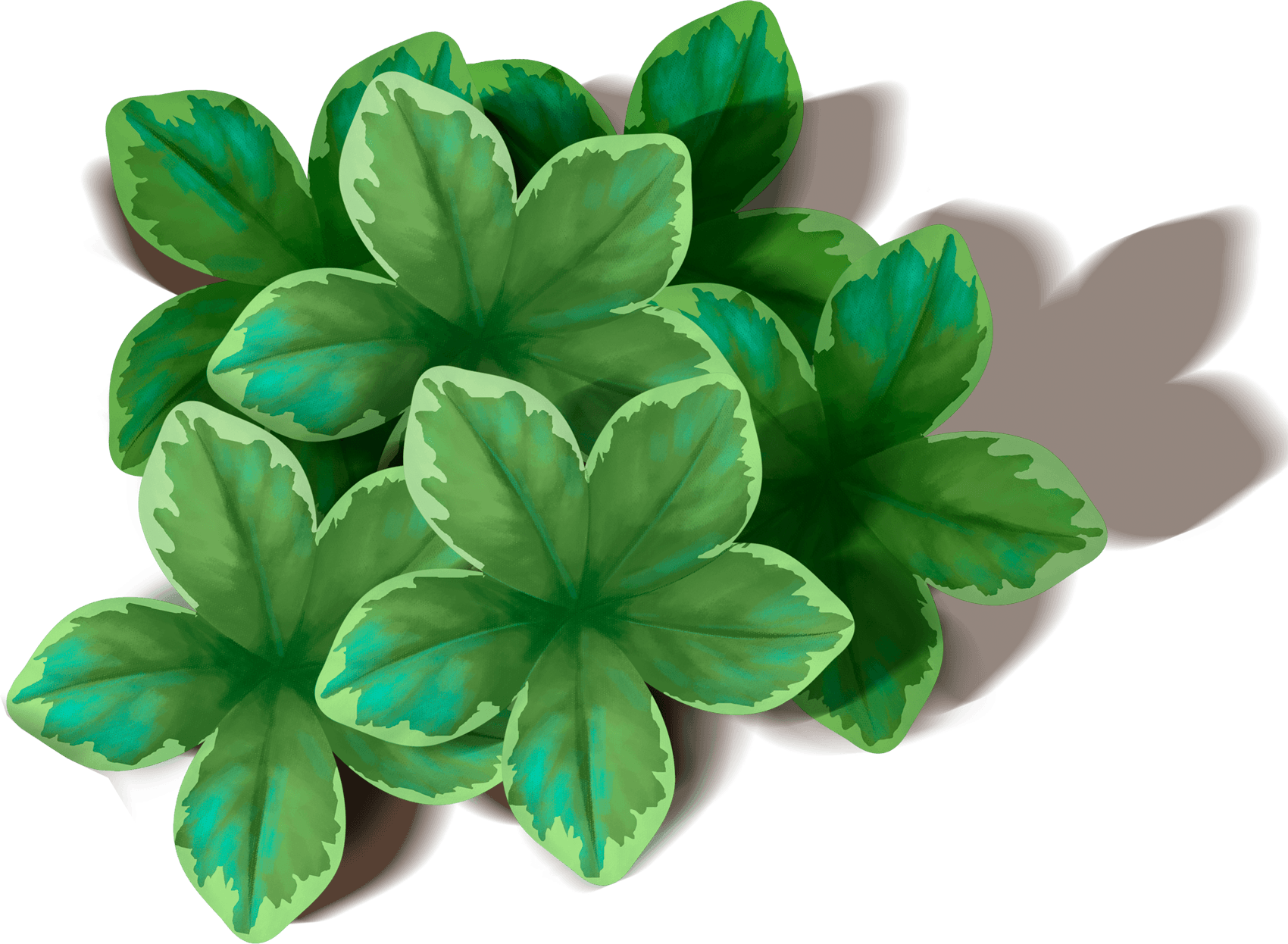 Green Leaf Png PNG Image