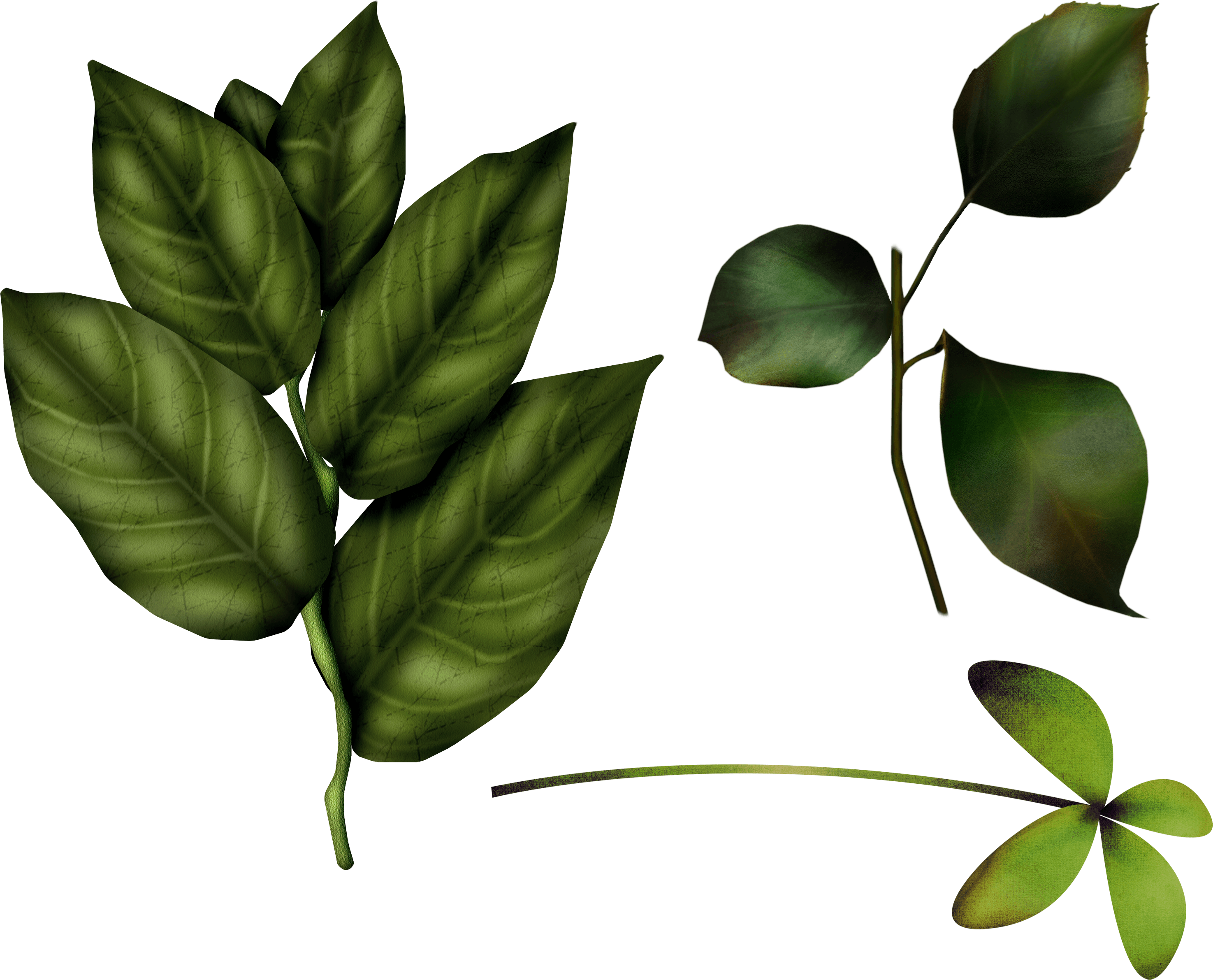 Green Leaf Png PNG Image