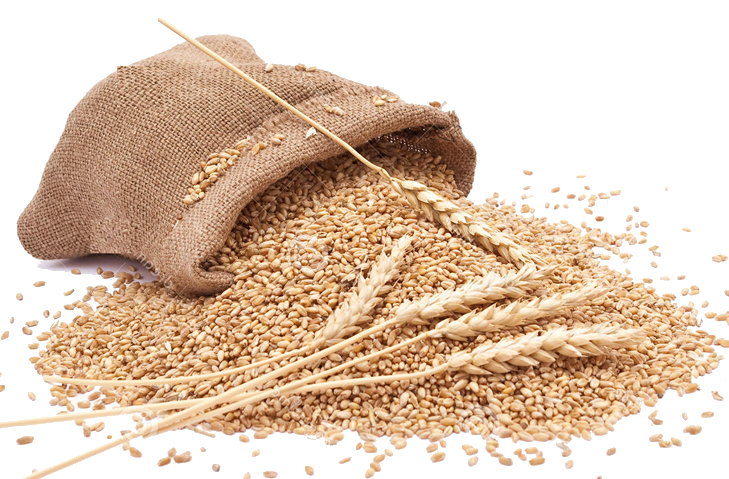 Grain HQ Image Free PNG PNG Image