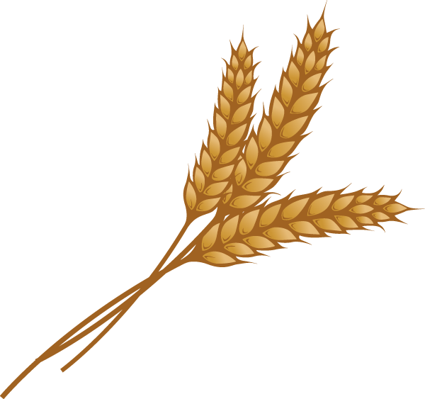 Grain Image Free Download PNG HQ PNG Image