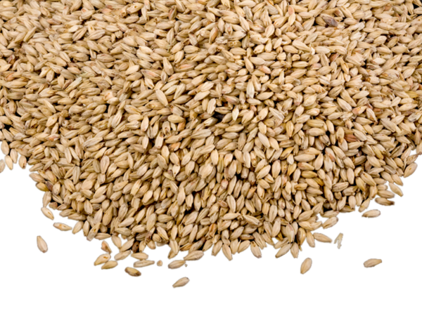 Grain Free Download PNG HD PNG Image