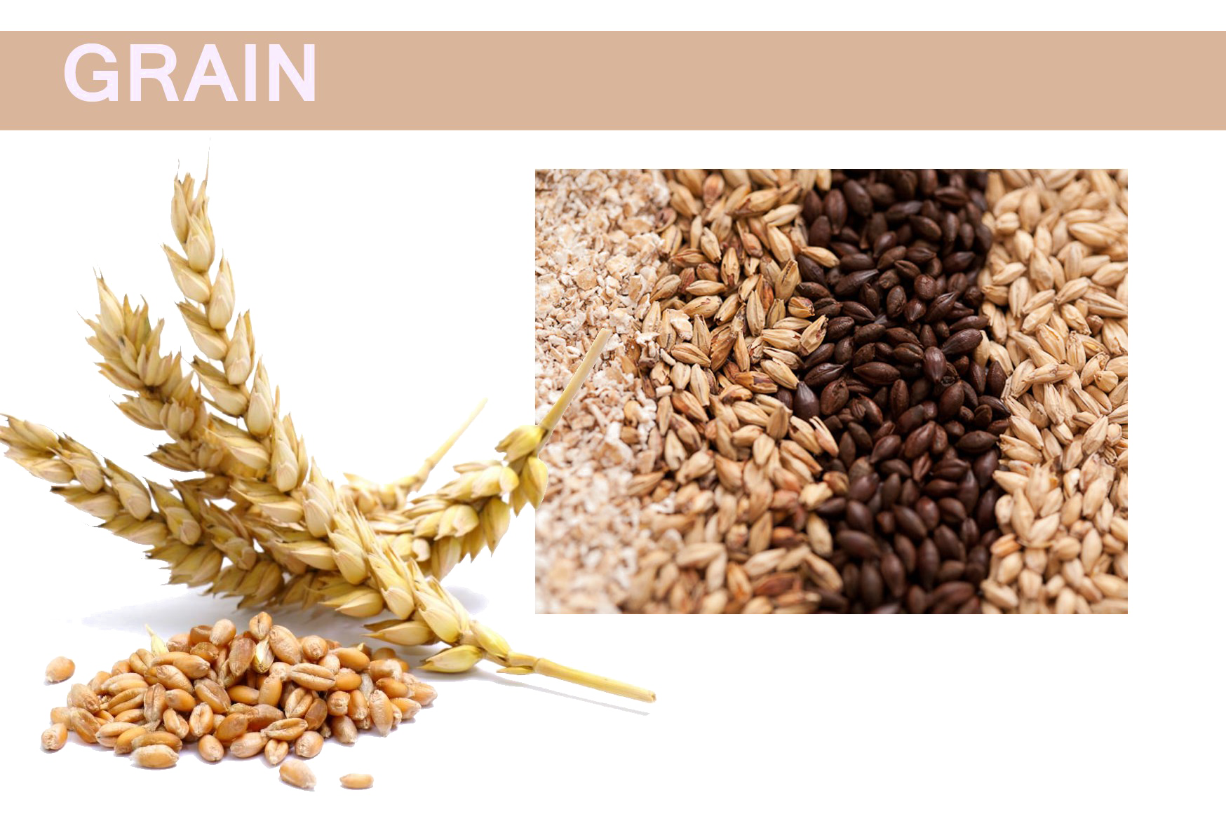 Grain HQ Image Free PNG PNG Image