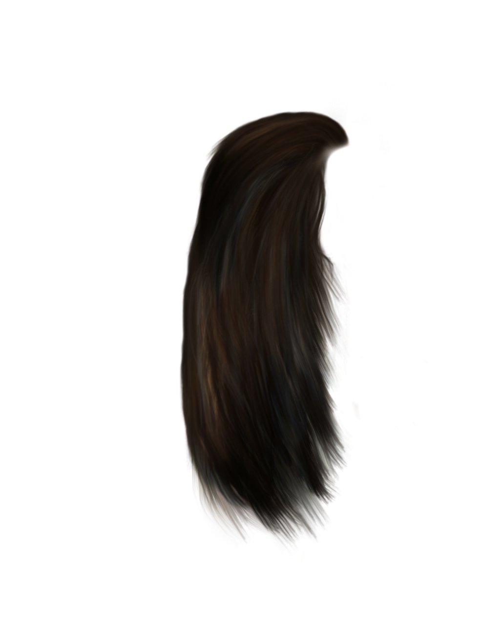 Hair Png 12 PNG Image