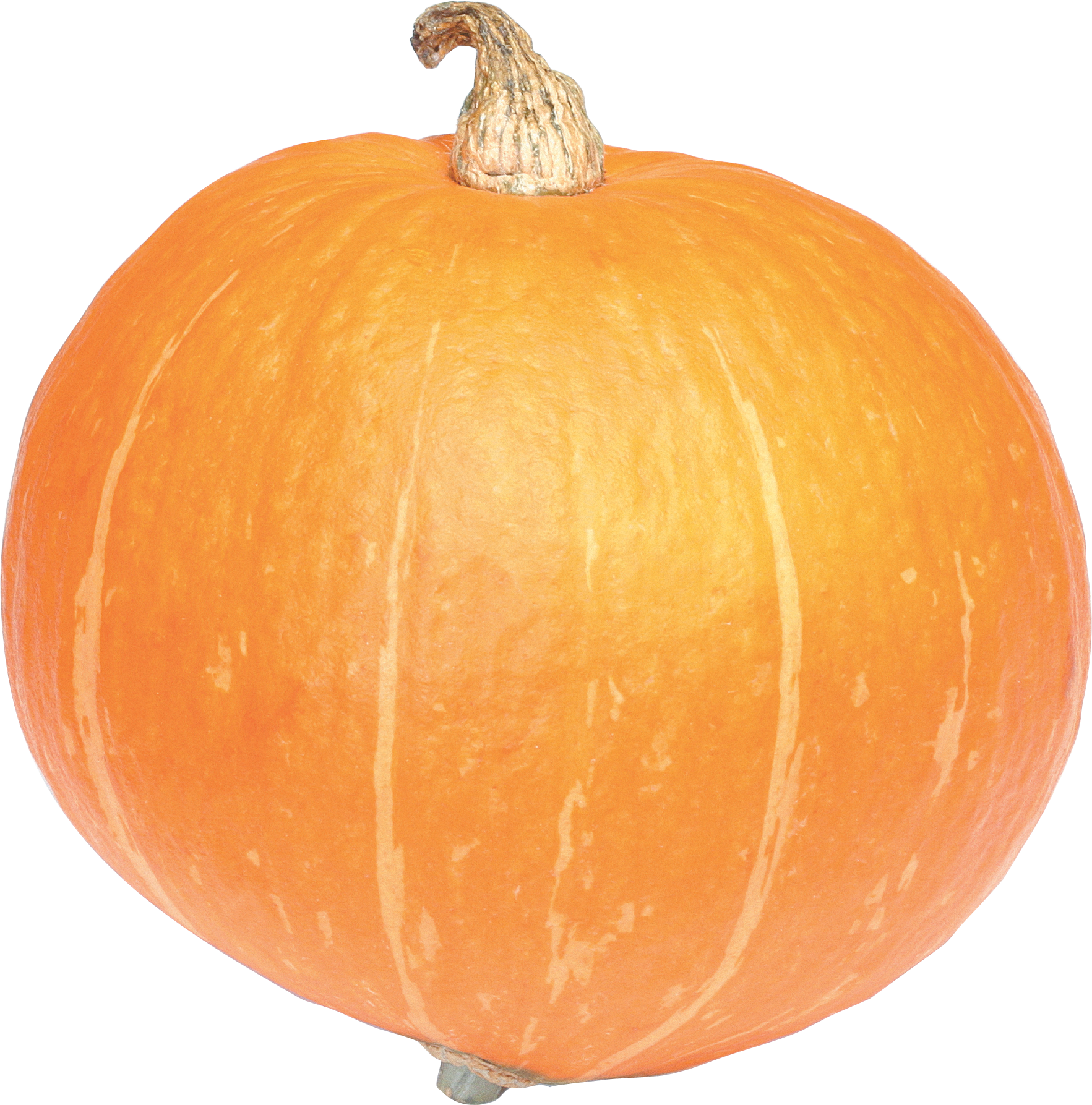 Jack-O-Lantern Halloween Free HD Image PNG Image