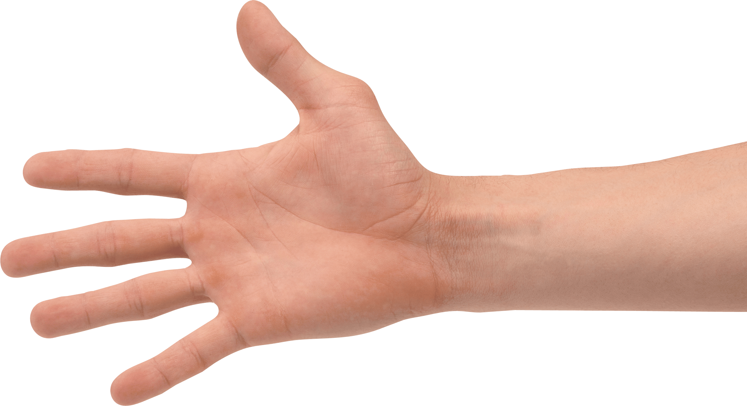 Hands Png Hand Image  PNG Image