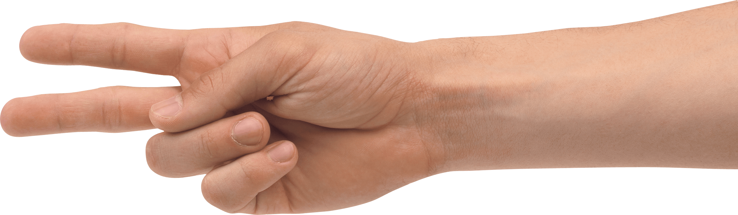 Hands Png Hand Image  PNG Image