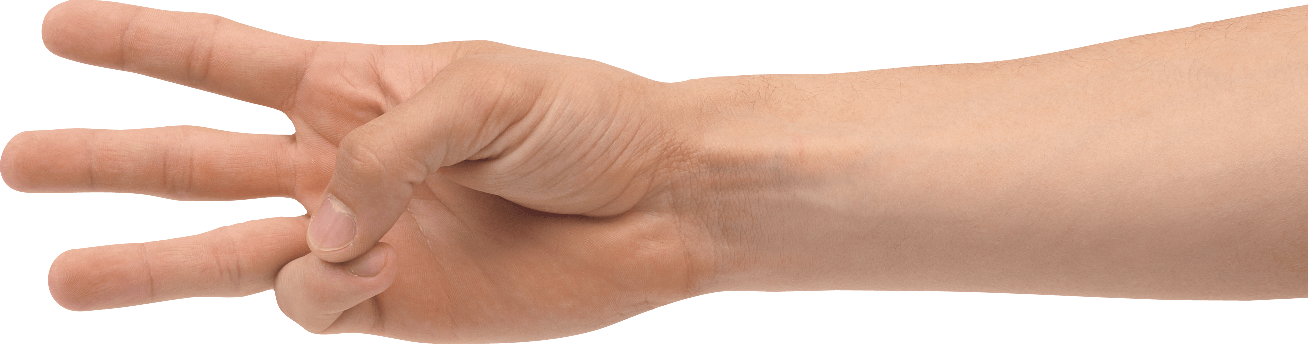 Hands Png Hand Image  PNG Image