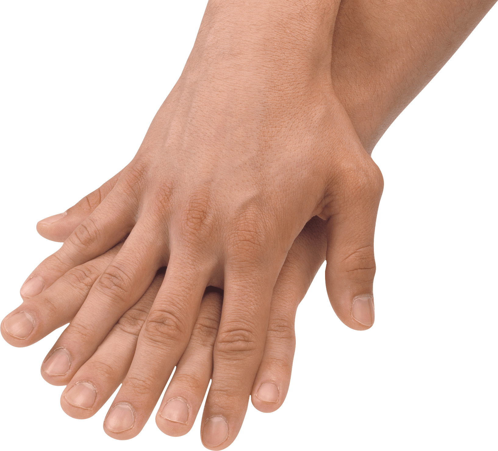 Hands Png Hand Image  PNG Image