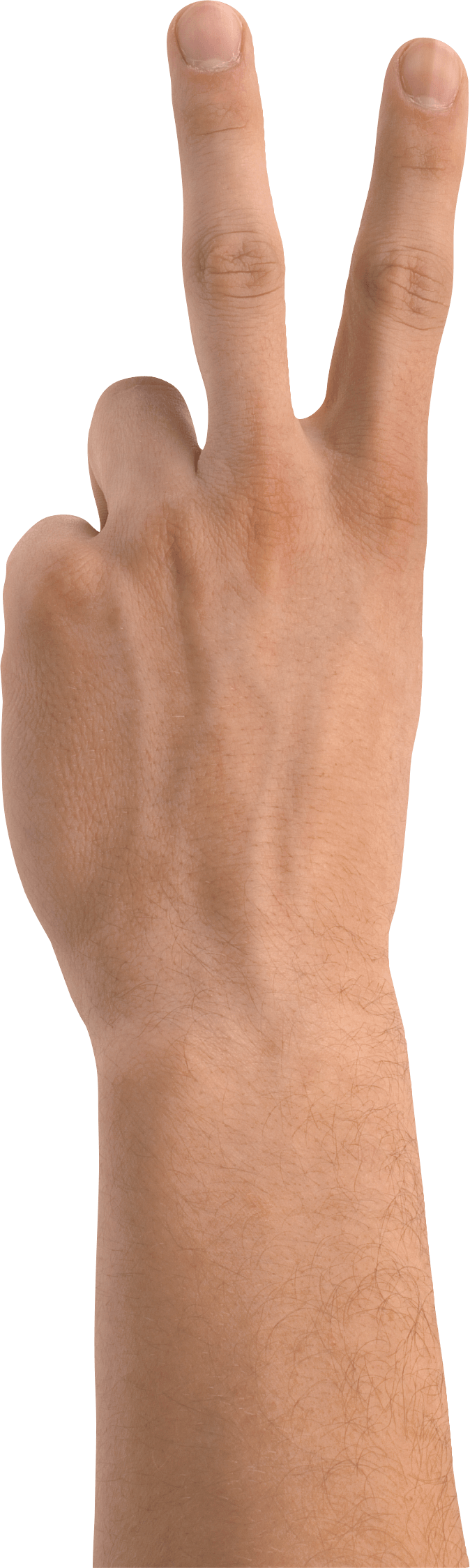 Hands Png Hand Image  PNG Image