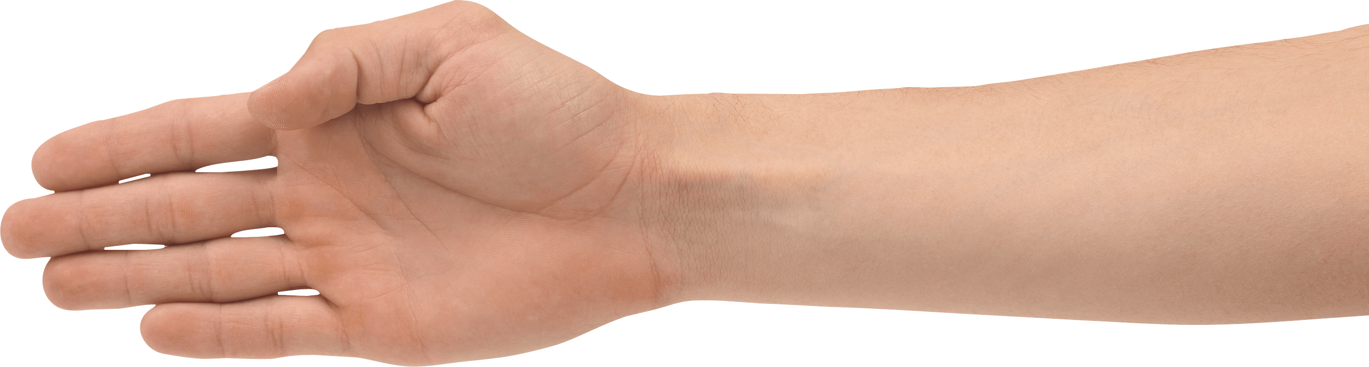 Hands Png Hand Image  PNG Image