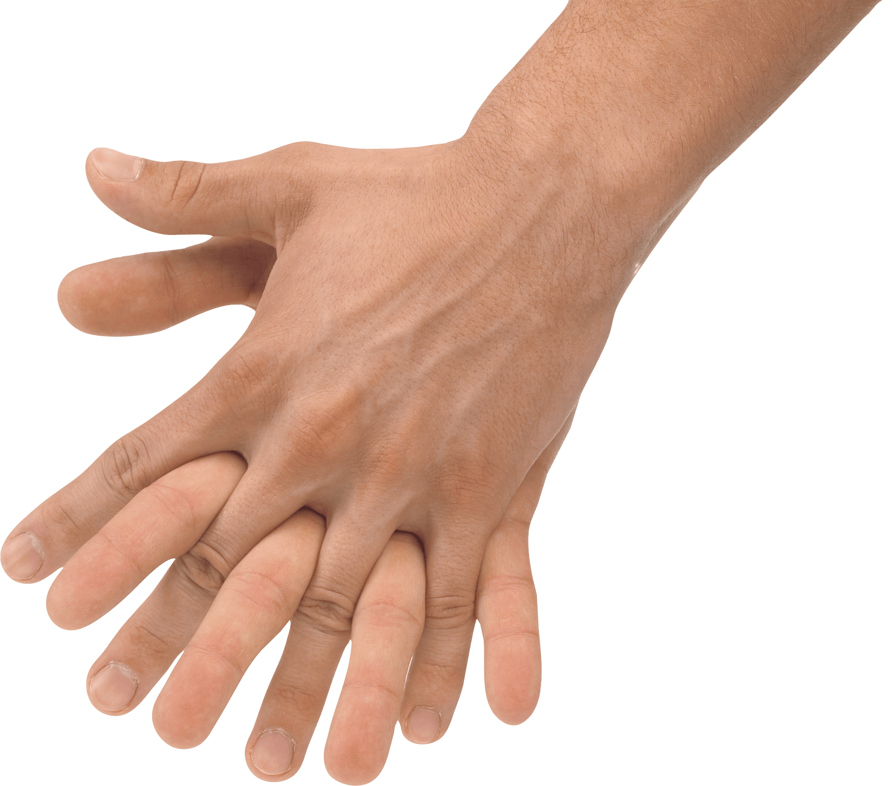 Hands Png Hand Image  PNG Image