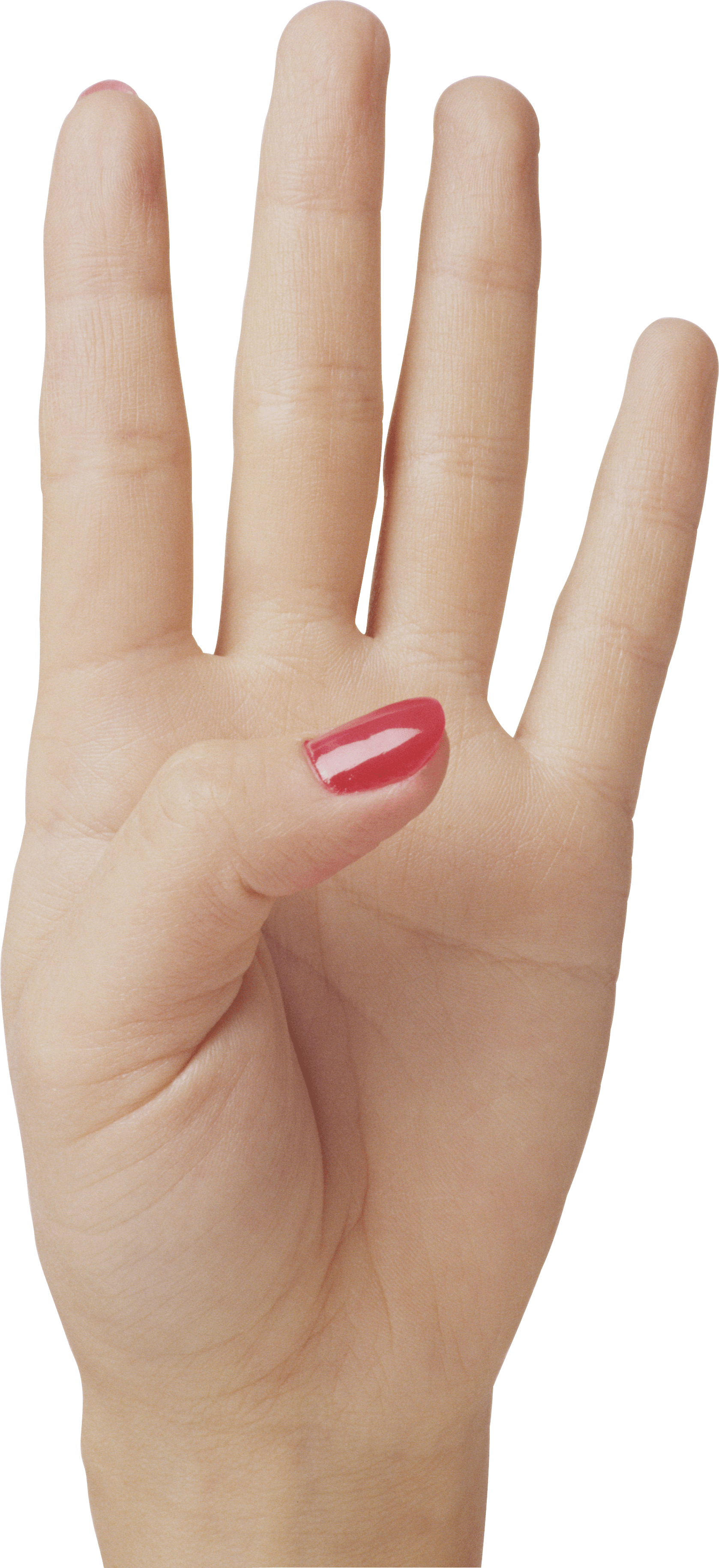 Hands Png Hand Image  PNG Image