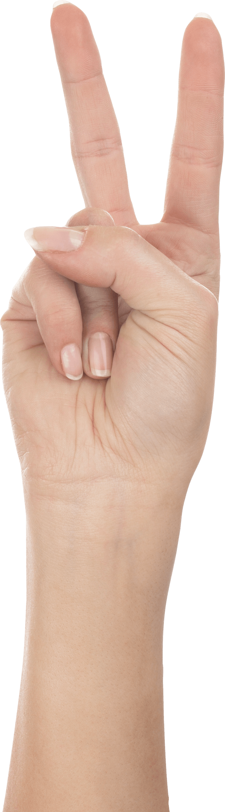 Hands Png Hand Image  PNG Image