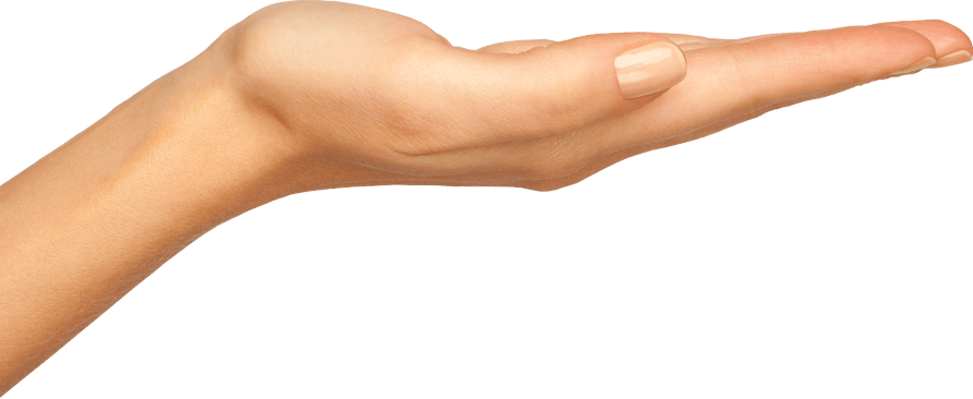 Hands Png Hand Image  PNG Image