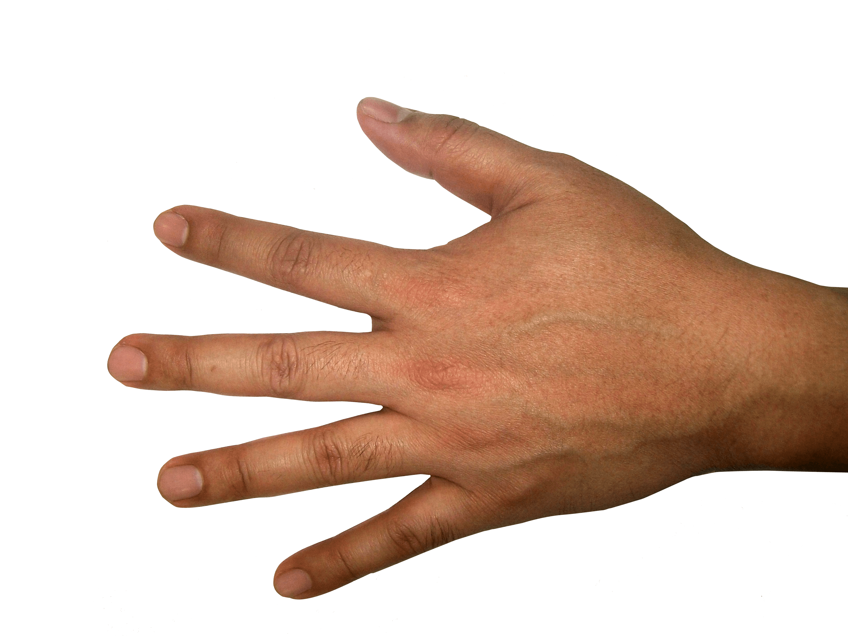 Hands Png Hand Image  PNG Image