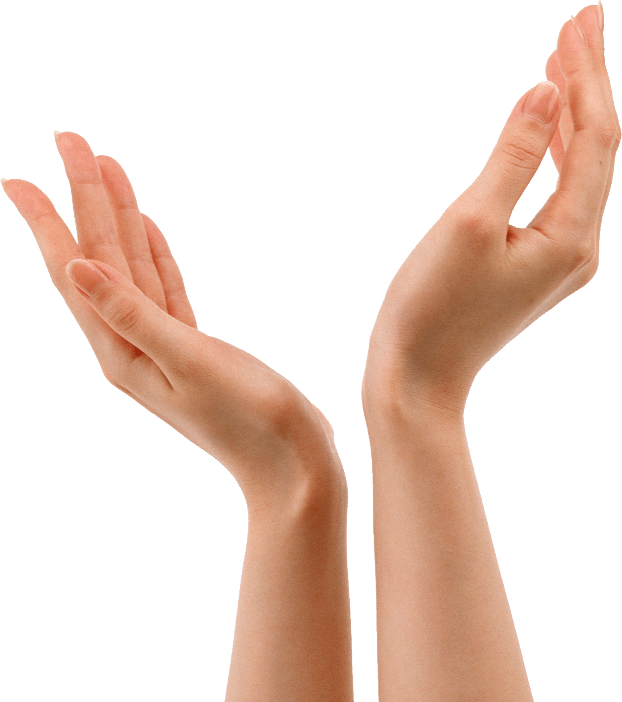 Hands Png Hand Image  PNG Image