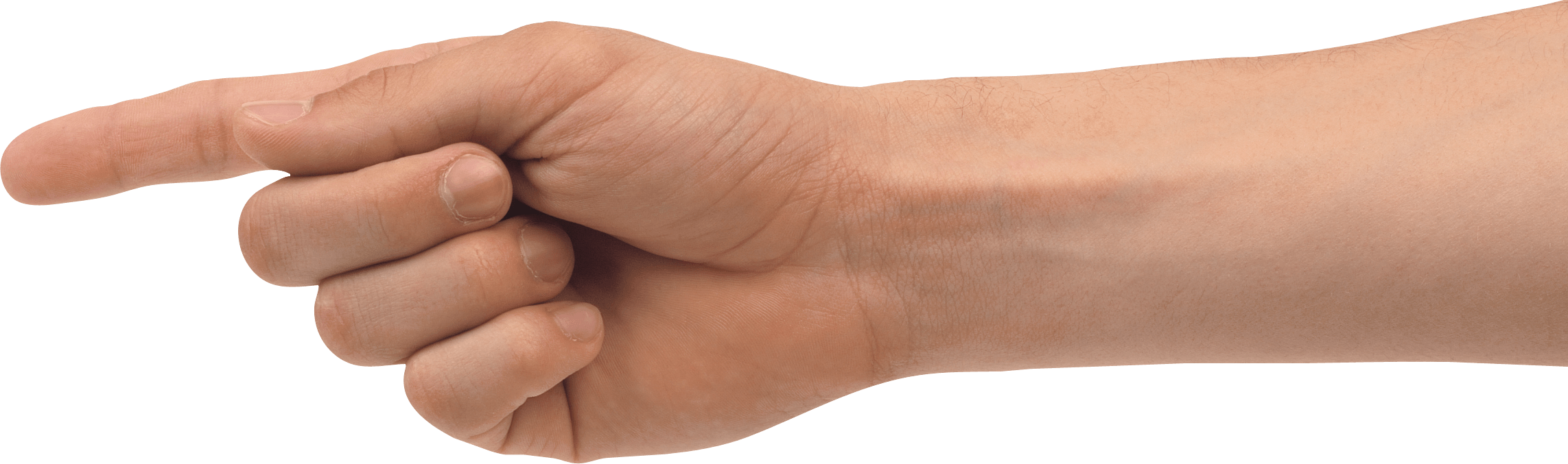 Hands Png Hand Image  PNG Image