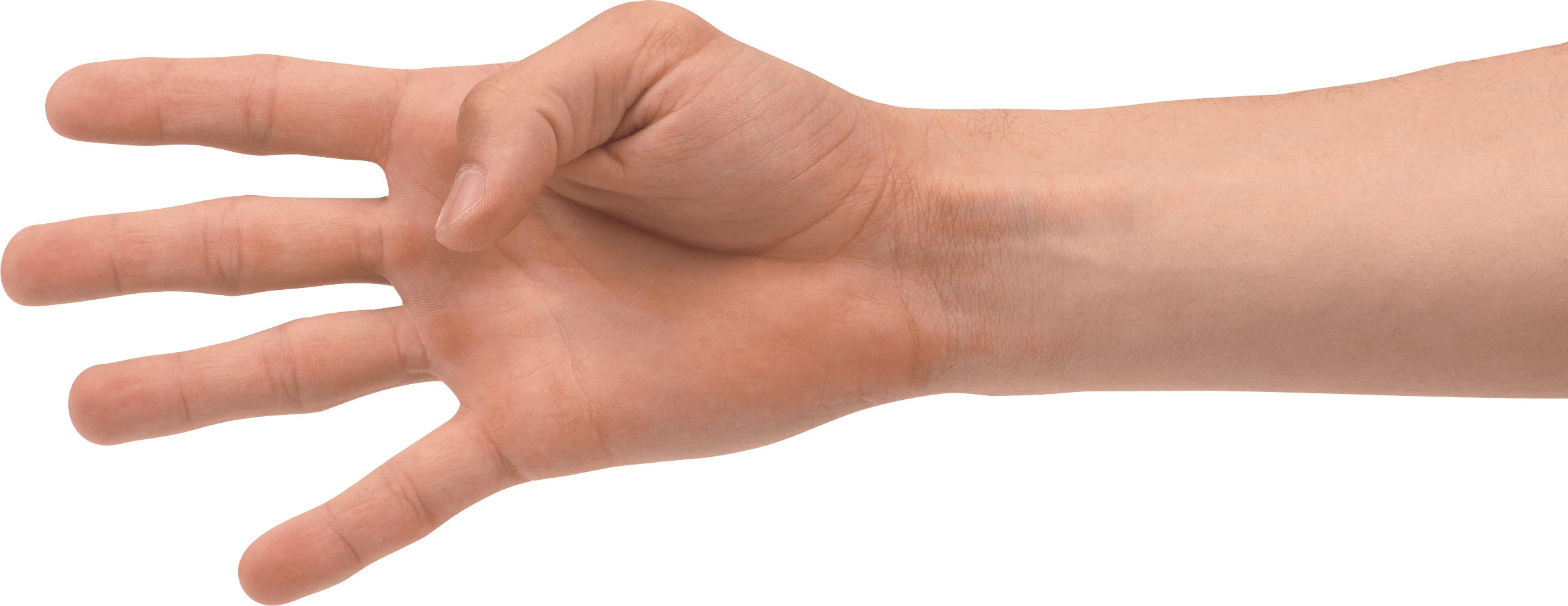 Hands Png Hand Image  PNG Image