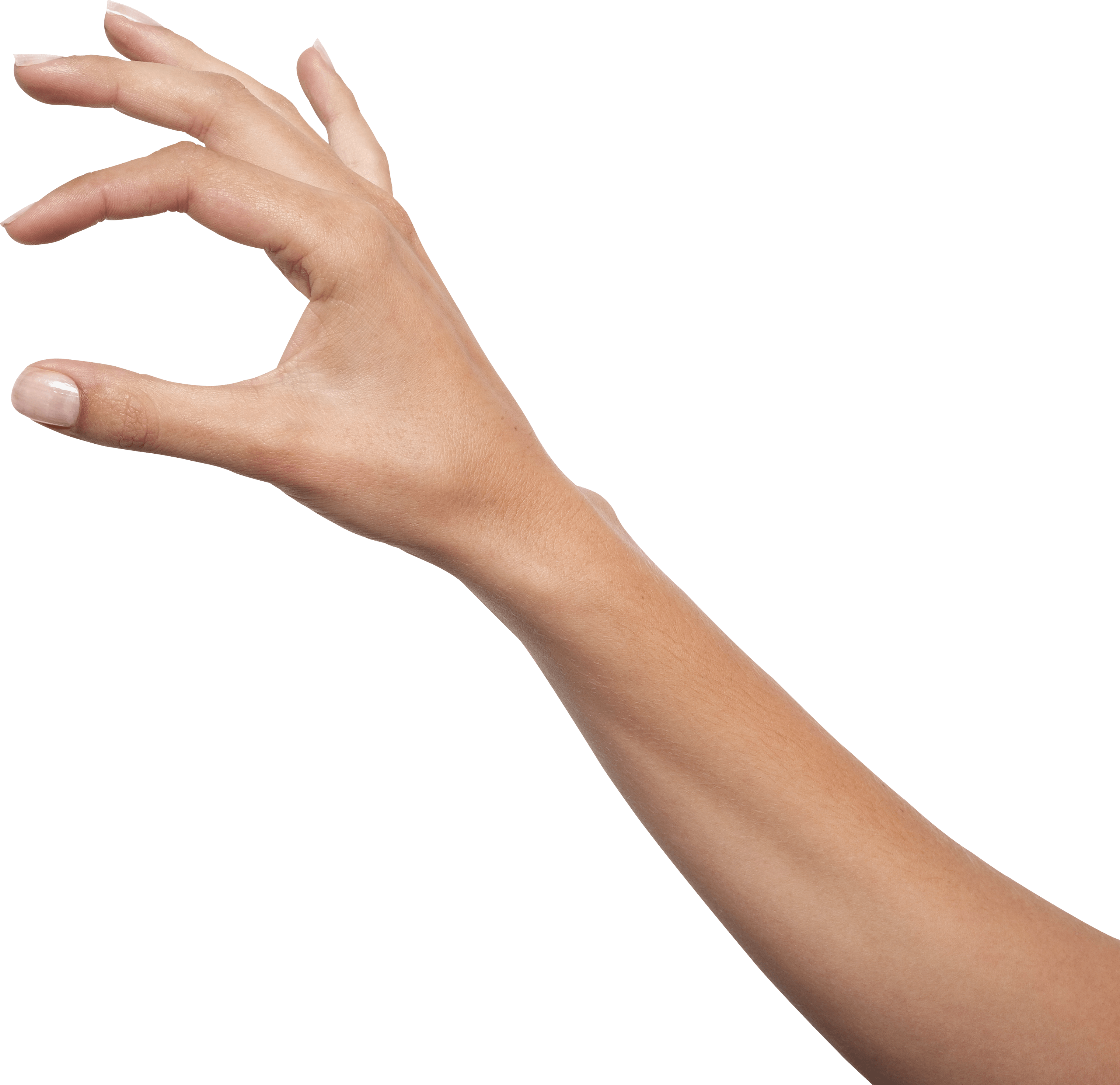 Hands Png Hand Image  PNG Image