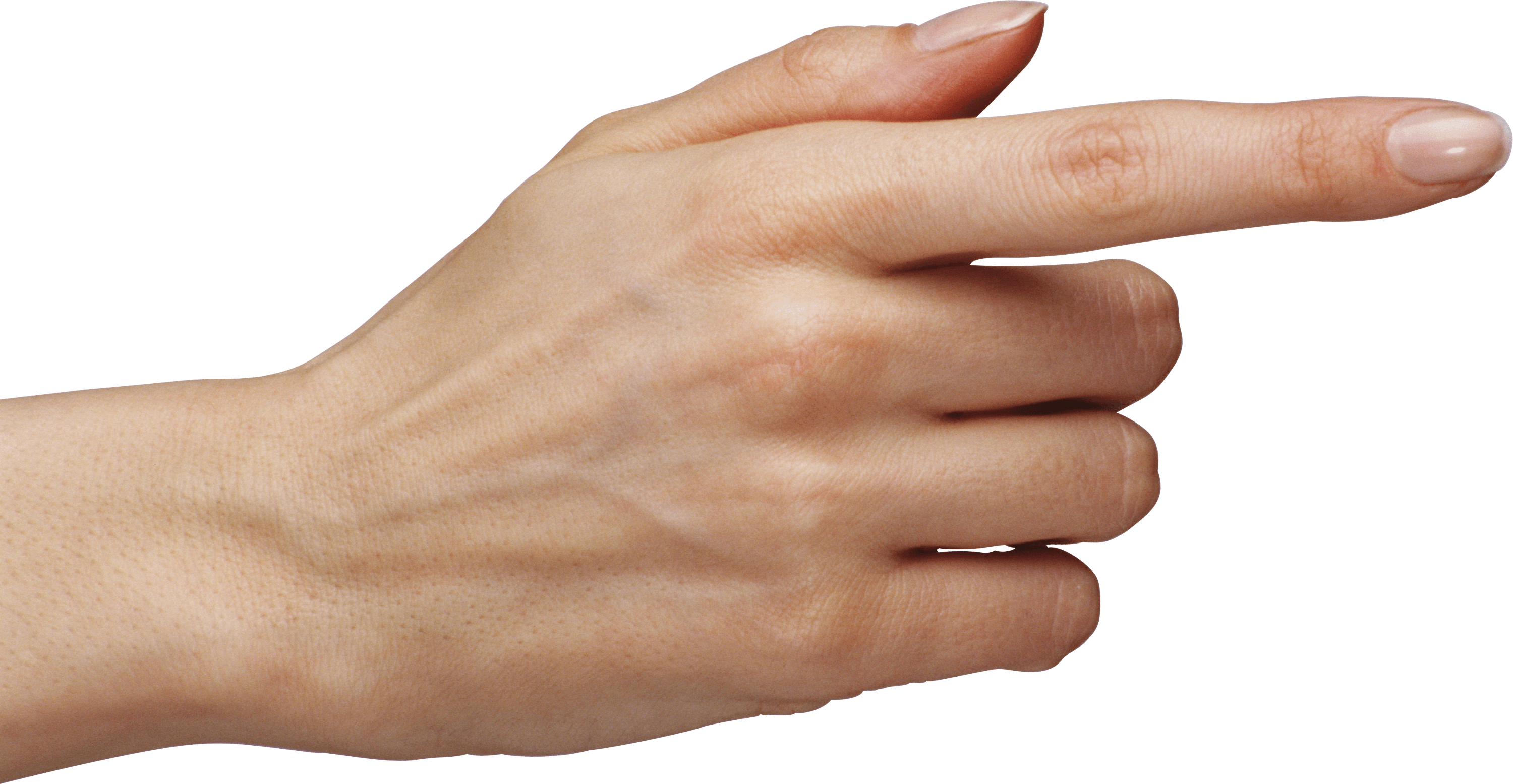 Hands Png Hand Image  PNG Image