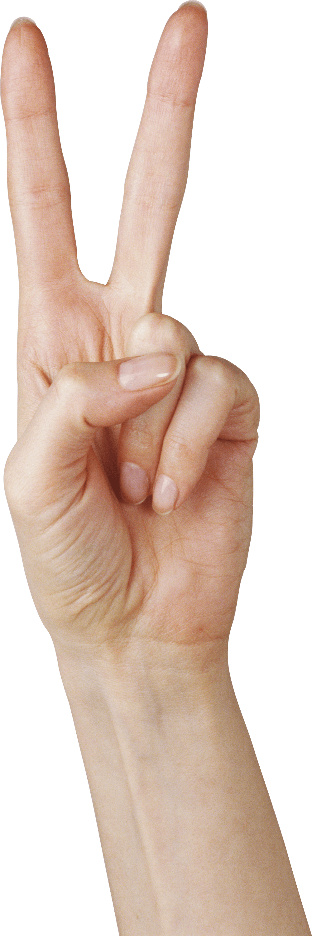 Hands Png Hand Image  PNG Image