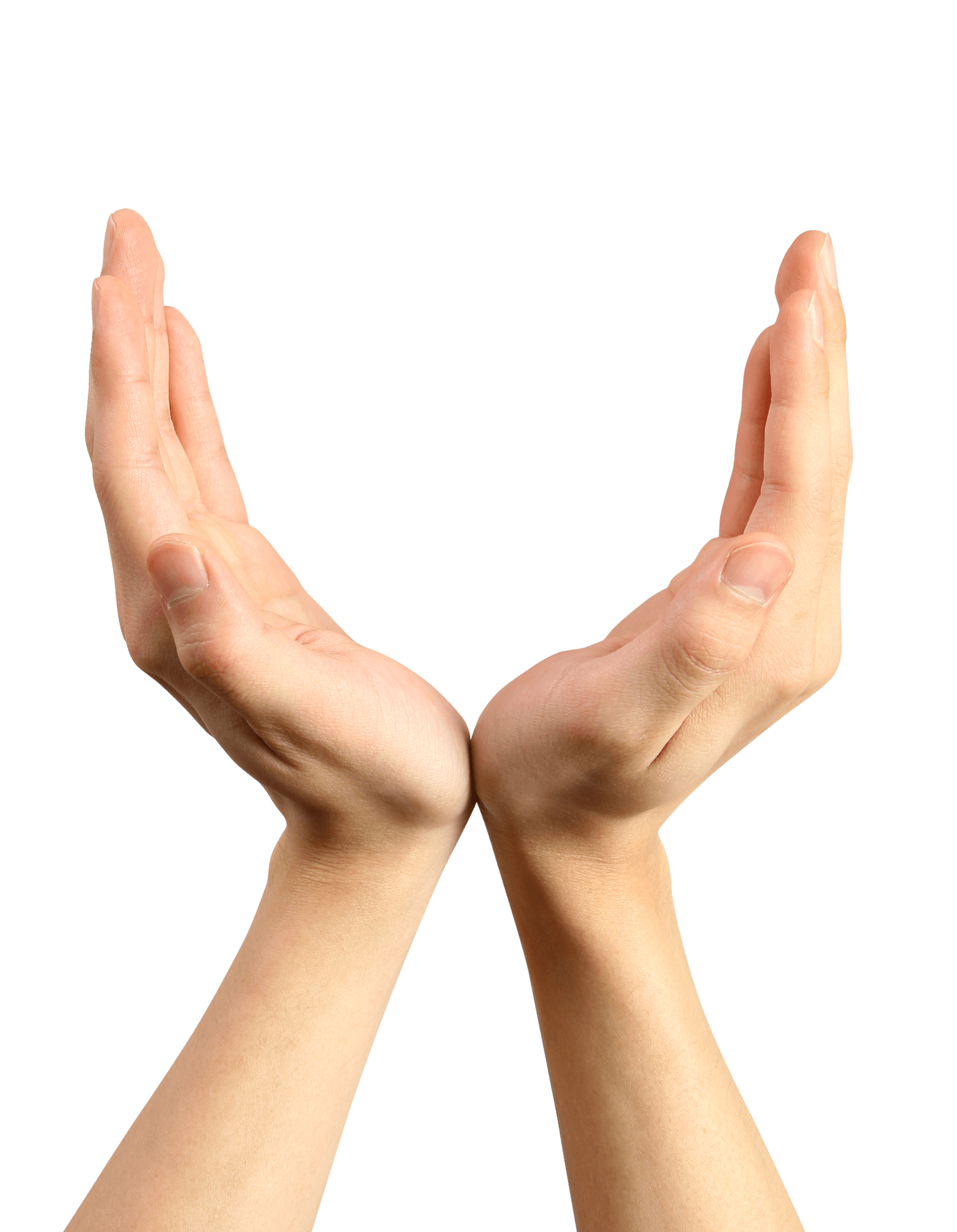 Hands Png Hand Image  PNG Image