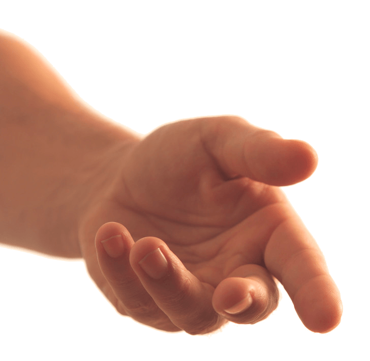 Hands Png Hand Image  PNG Image