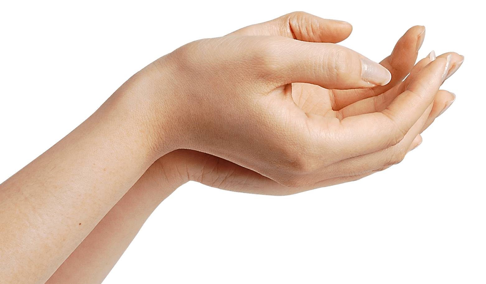 Hands Png Hand Image  PNG Image